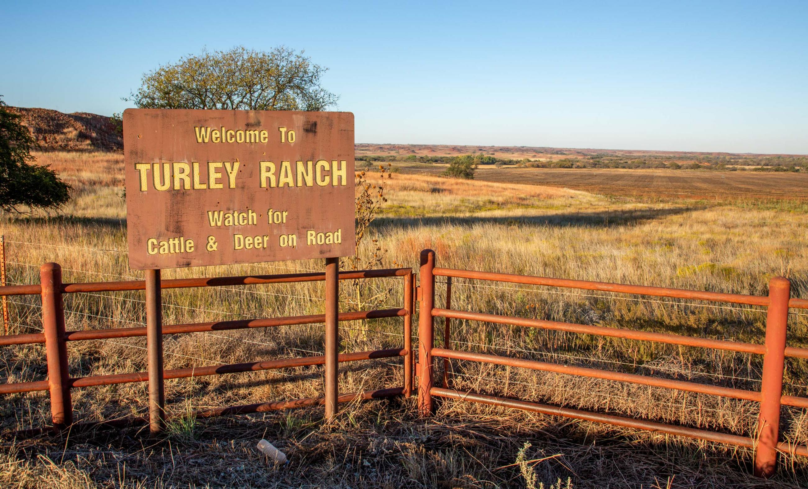 Turley Ranch — view 9